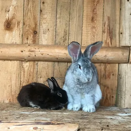 Luxury Strachan - Jacuzzi And Sauna Lejlighed Ždiar